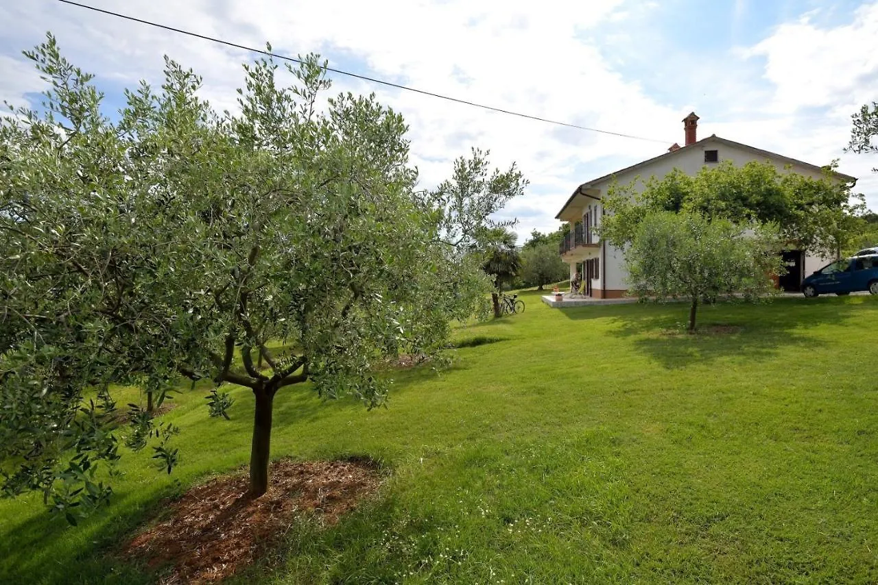 Apartment Oliva Vizinada