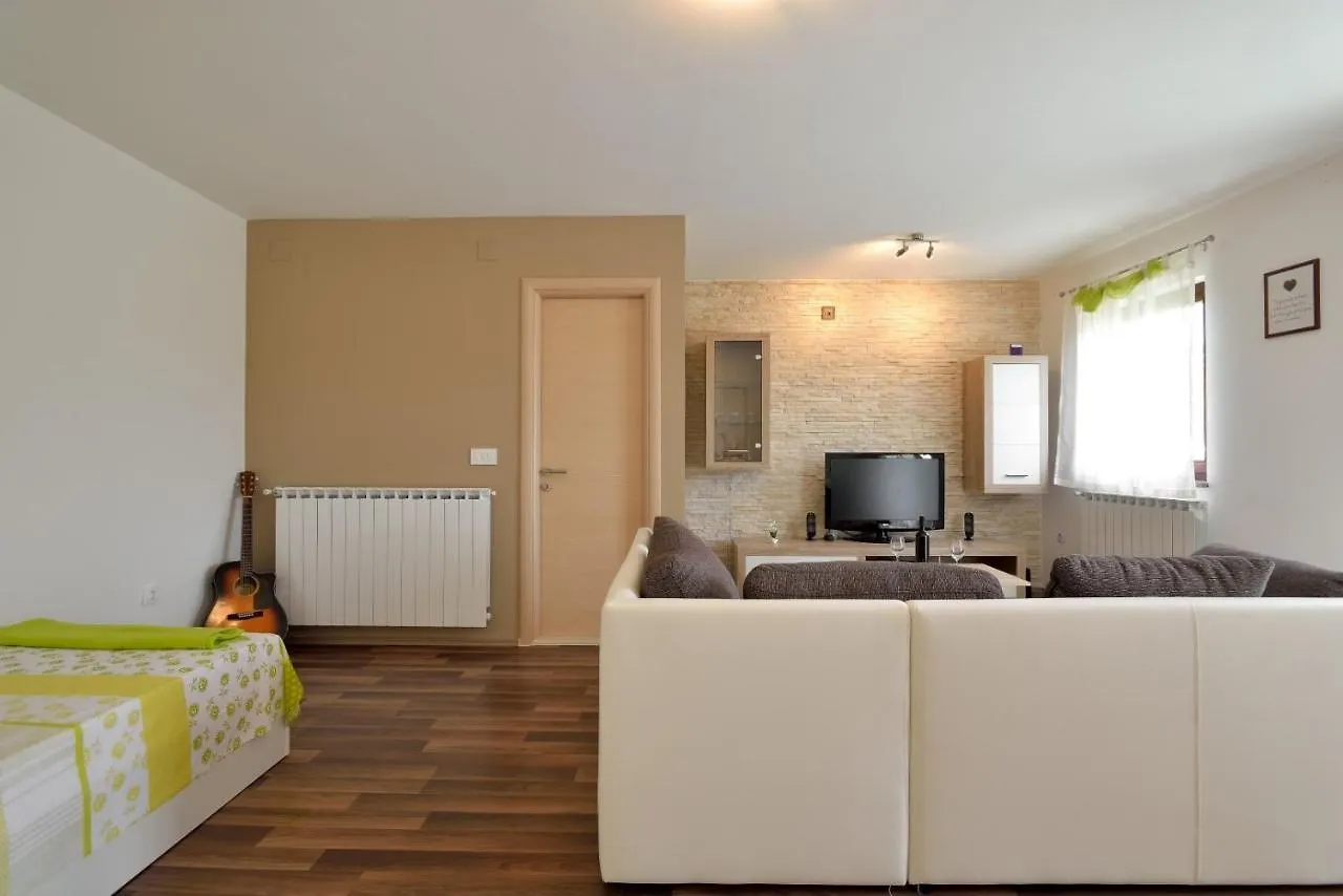 Apartment Oliva Vizinada 0*,